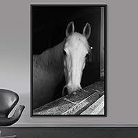 Framed Canvas Wall Art High Contrast Horse Animals Black and White Duotone Expressive Grey Horse Living Room Photography Rustic - 16x24 inches