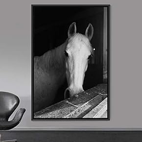 signwin Framed Canvas Wall Art High Contrast Horse...