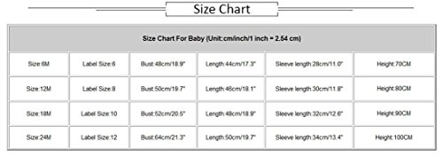 Children Baby Girls Floral Dress, Flower Printing Tutu Party Wedding Birthday Princess Long Sleeve Mesh Dresses (Pink, 18-24 Months)