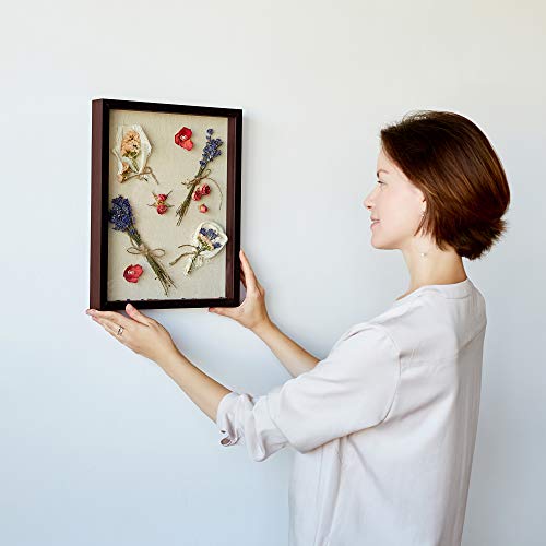 image for Kenley Shadow Box Display Case - Set of 2 Walnut Brown Deep Wood Shado