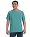 Comfort Colors 6.1 oz. Ringspun Garment-Dyed T-Shirt