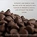 Hershey's Sugar Free Chocolate Chips - Special Edition Pack of 2 - Includes Free Recipe of the Month Card with Sugar Free Recipes