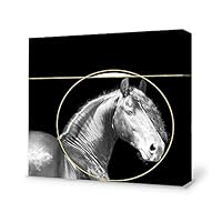 signwin-Canvas Wall Art-Black and White Horse-Canvas Prints Home Artwork Decoration for Living Room,Bedroom - 12x12 inches