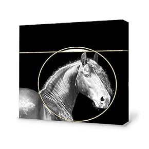 Black and White Horse Home Artwork for Living Room Bedroom
