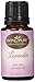 #1 Lavender Essential Oil - Pure Lavender Oil by Living Pure Essential Oils - Aid Relaxation and Freshen Rooms - PUREST Lavender from Europe - 100% Organic Therapeutic & Aromatherapy Grade - 15ml