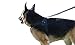 Dog Harness for Large, Medium & Small Breed - Leash Included; Reflective, Adjustable Harness With Handle. No Choke, No Slip. Excellent for Training, Walking, Hiking. No Pull Effect. (Large)