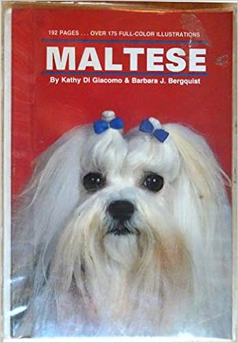 Maltese �y�[�p�[�o�b�N  - 1991/3/1