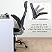 OWLN Ergonomic High Back Mesh Office Chair with Adjustable Headrest and Armrest Desk Chair
