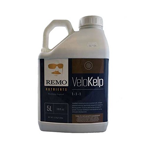 5L - REMO Velo Kelp