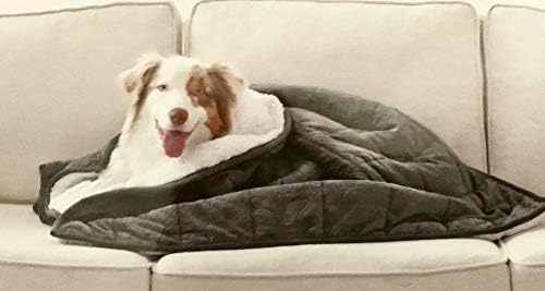 weighted pet blanket