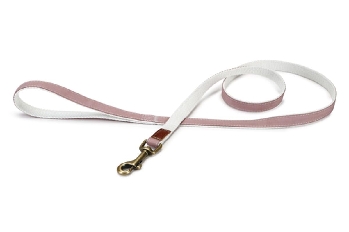 Other Designed By Lotte Nylon Lead Virante Light Pink 15mm X120cm