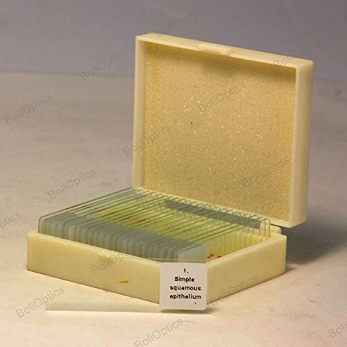 image for BoliOptics 25 Prepared Microscope Slides Human Biology Specimen Set Hu