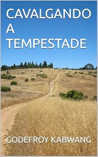 Livro CAVALGANDO A TEMPESTADE
