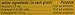 Neosporin Plus Pain Relief Cream, Maximum Strength, 0.5 oz (Pack of 4)