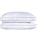 puredown® Goose Feathers and Down Pillow for Sleeping Gusseted Bed Hotel Collection Pillows, Queen, Set of 2