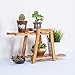 2 Layers Mini Bamboo Plant Stand Small Flower Display Rack Shelf Planter Indoor Outdoor Garden Desktop Decoration Succulent Plants
