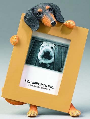 Dachshund (Black/Tan) 2.5" x 3.5" Picture Frame