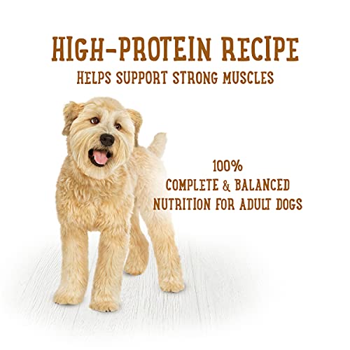 Purina Beneful High Protein, Wet Dog Food With Gravy, Prepared Meals Simmered Beef Entree (8