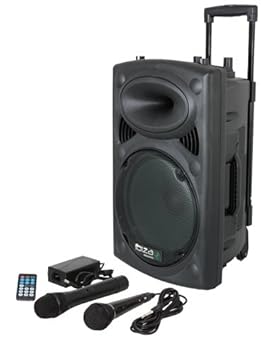 enceinte sono intempo