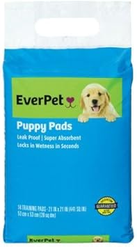 coton de tulear breeders near me