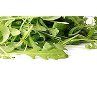 500 Roquette Arugula Seeds - Rocket, Rugula, Rucola - Eruca Vesicaria Subsp. Sativa by RDR Seeds