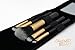 BEST 5 Piece Travel Makeup Brush Set + Bonus Compact Mirror Case - - GUARANTEED