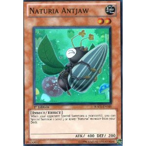 Yu-Gi-Oh! - Naturia Antjaw (HA02-EN039) - Hidden Arsenal 2 - 1st Edition - Super Rare