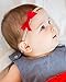 5 Baby Girl Hair Bows on Nylon Headbands | 2