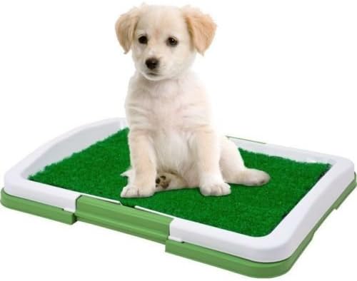 Attracts Dogs Ingenious Artificial Turf Indoor Grass Training Patch Puppy Potty Trainer Obedience Great For Rainy Days Or Can't Take Your Dogs Outside