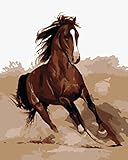 DIY Oil Painting iCoostor Paint By Number Kit With Brush 16x20inch Runny Horse Pattern, Running Horse Paint By Numbers For Adults Beginner