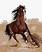 iCoostor DIY Painting Paint by Numbers for Adults with Brush, Paint by Numbers Kit for Adults Beginner, Running Horse Pattern 16x20inch