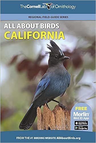 all about birds cornell university