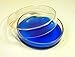 Petri Dish, Crystal Clear Borosillicate Glass, 90mm X 18mm, Pack of 6