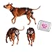 PABS, Pet Anti-Breeding System Chastity Belt for Dogs, Dog Diaper Alternative, Dog Chastity Belt Female (Please See Video) (Size Small – 8-15lbs)