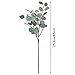 Artificial Eucalyptus Stems Leaves 6 Pcs Straight Silver Dollar Eucalyptus Leaf Silk Greenery Bushes Plastic Plants Floral Faux Greenery Stems for Party Wedding Home Decor(Grey Green)