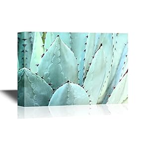 Floral Canvas Wall Art - Sharp Pointed Agave Plant Leaves Bunched Together - Gallery Wrap Modern Home Art | Ready to Hang - 12x18 inches