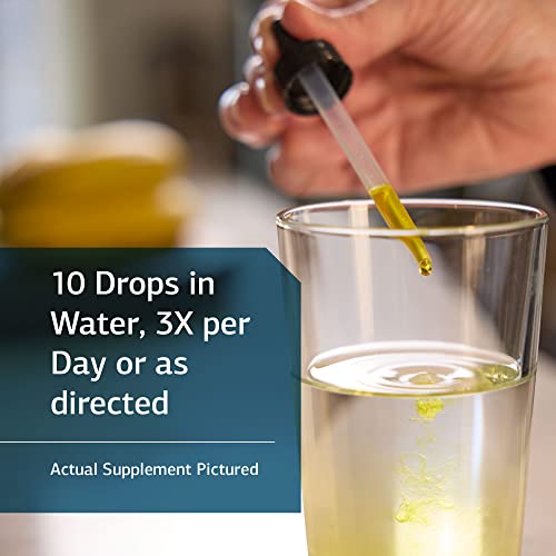 Standard Process Phosfood Liquid Whole Food Bone Health and Bone