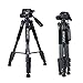 Camera Tripod 55-inch Q111 with Phone Holder,Cell Phone Tripod Stand Protable Lightweight for Canon Nikon Sony DSLR Projector Webcam Spotting Scopes Gopro and Smartphones Live(Black)