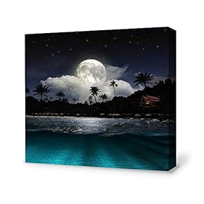 Canvas Wall Art for Living Room,Bedroom Home Artwork Paintings Charming Moon Ready to Hang - 12x12 inches