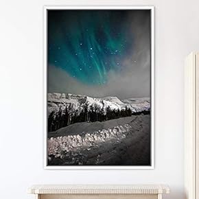 signwin Framed Canvas Wall Art Night View Landscape...