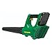 Weed Eater WE20VB 20-Volt Lithium-Ion Rechargeable Battery Powered Blower/Sweeper