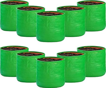 SCOTMEN Grow Bag, Green, 15x15 inch, 10 Piece