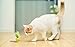 Nargos 1.5 Dia Colorful Golf Sponge Foam Balls Cats Toys with Feathers(4 Pack)