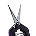 Apollo Horticulture Precision Straight Blade Pruner Shears for Gardening