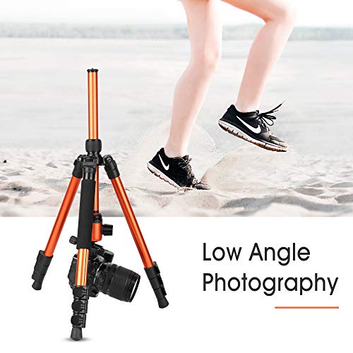 Zomei M3 Travel Camera Tripod Monopod Aluminum Lightweight Professional with 360 Degree Ball Head,1/4" Quick Release Plate and Carry Bag for Canon Nikon Sony DSLR (Orange)