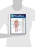 Image de Trigger Points (Speedy Study Guide)