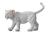 CollectA Wildlife White Lion Cub (Walking) Miniature Toy Figure - Authentic Hand Painted Model
