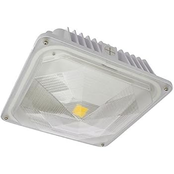 LEDwholesalers 35-Watt Outdoor LED Canopy Ceiling Light Fixture 100-240/277VAC, UL-Listed, White 5000K, 3921WH