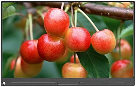 DESHENG 17.3inch IPS Screen HD Portable ps4 Gaming 4K Monitor Support HDMI UHD 3840x2160 Compatible with PS4, Raspberry Pi Computer MAC Support VESA Wall—Mounted