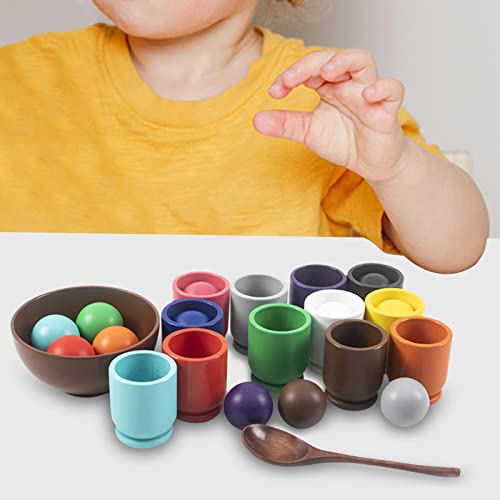 predolo Wooden Rainbow Balls in Cups Montessori Toy Fine Motor Early